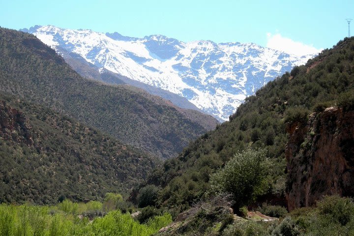 Marrakech day trip to Atlas Mountains image