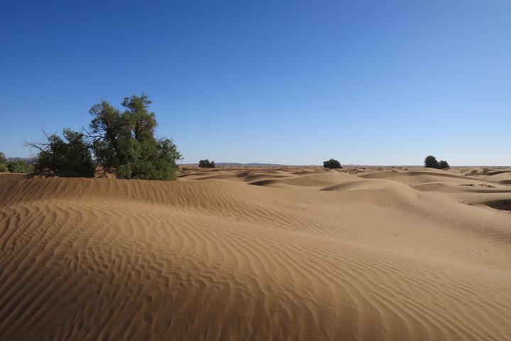 2 Days one night excursion From Marrakech to Zagora Desert  image