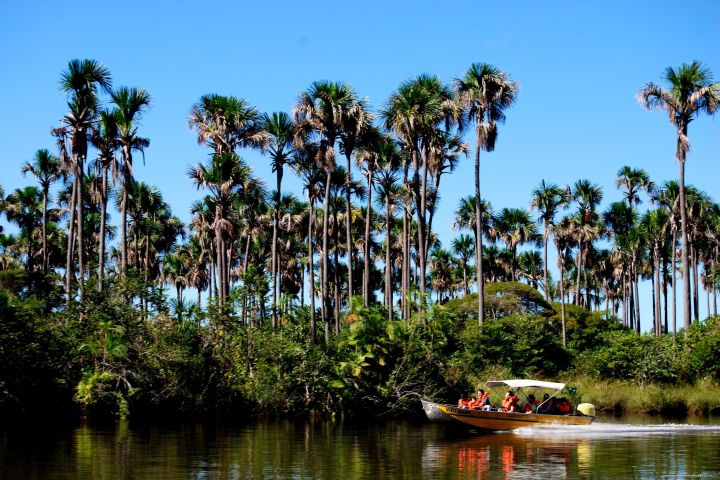 Preguiças River Boat Tour image