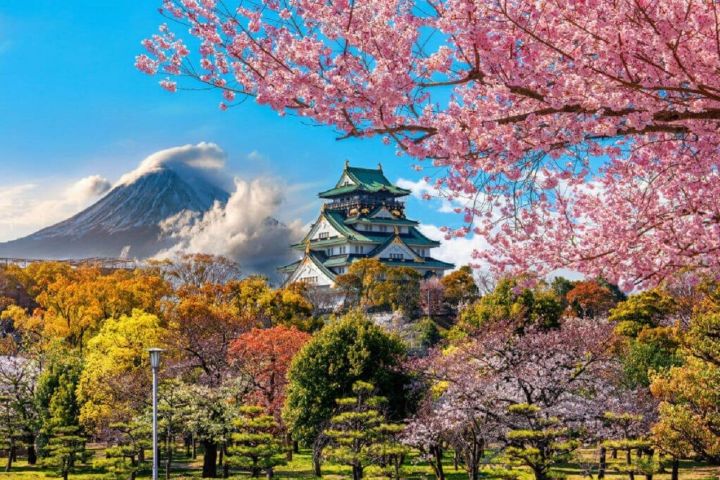 6-Day Japan Cultural Tour image