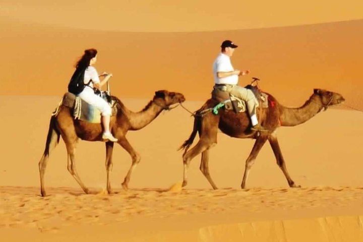 Evening Desert Safari with BBQ Dinner & 7 Live Show's  image