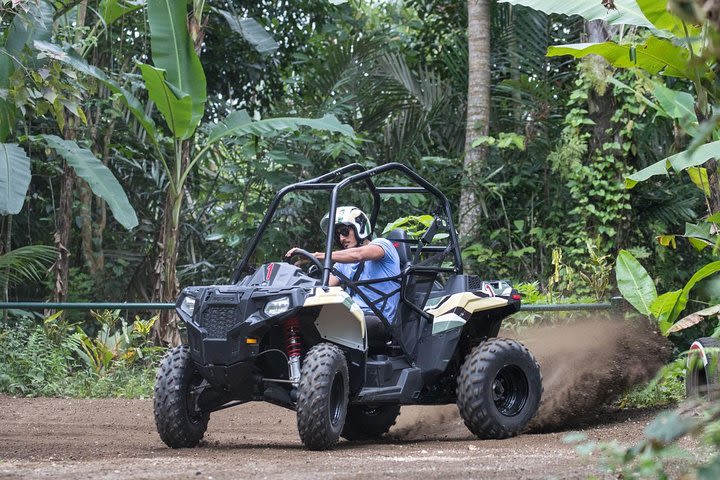 Half Day Jungle Buggies in Bali with Guide image