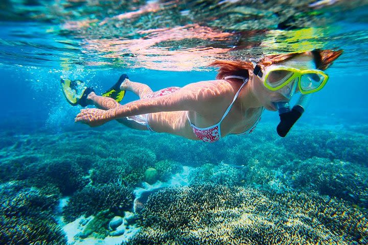 Amazing Basic Snorkel Experience In Cancún image