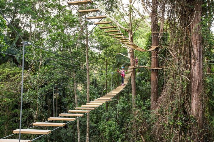 Sunshine Coast Treetop Challenge image