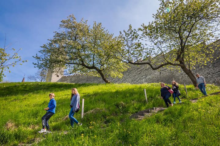 Mt Stanserhorn & Lucerne city day Photography Tour  image