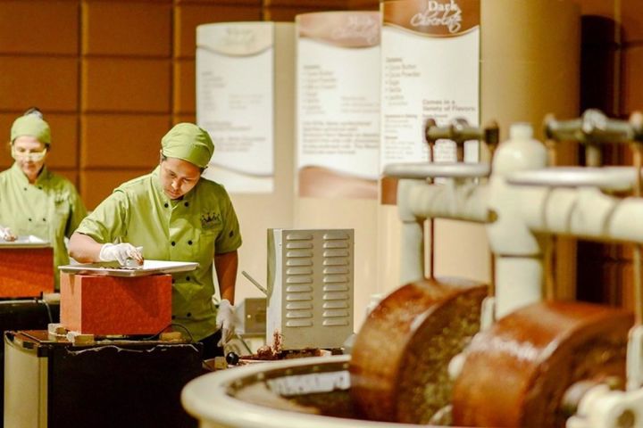 Chocolate Kingdom Factory Tour Orlando image