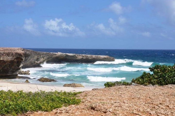 Private Hiking "Walk & Talk" : Aruba's National Park and Seashore Excursion image