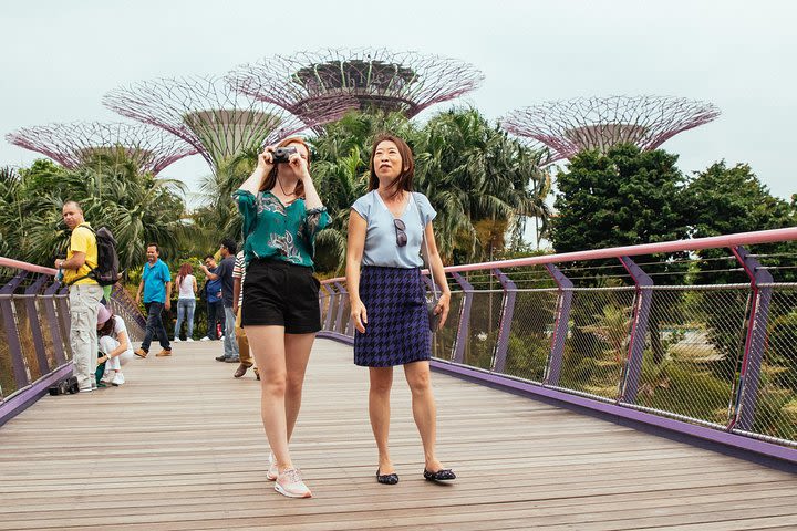 Highlights & Hidden Gems With Locals: Best of Singapore Private Tour image