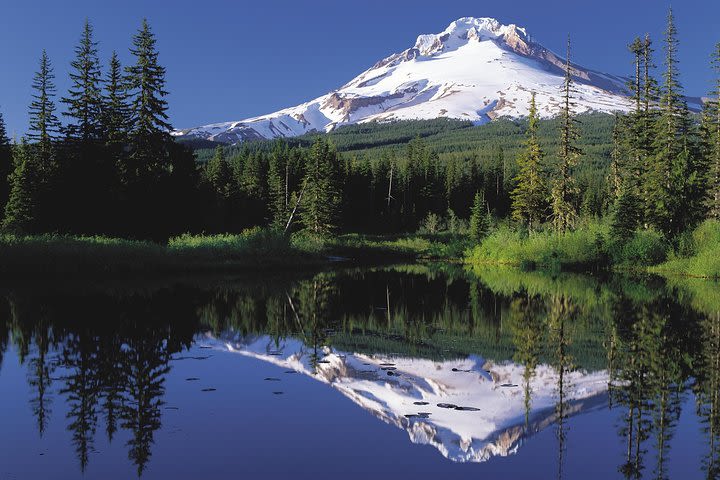 Columbia River Gorge Waterfalls and Mt Hood Tour from Portland image