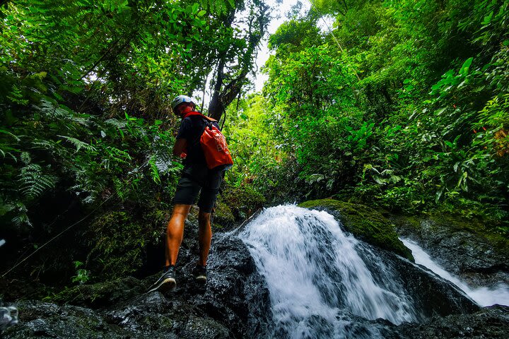 Jungle Hike with Canyoning and Rappelling in Drake Bay image