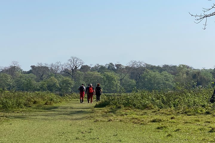 Canoeing and Nature Walk in Chitwan National Park image