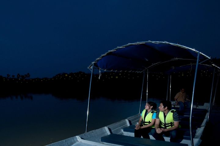 Kuala Selangor Firefly Tour with Seafood Dinner image