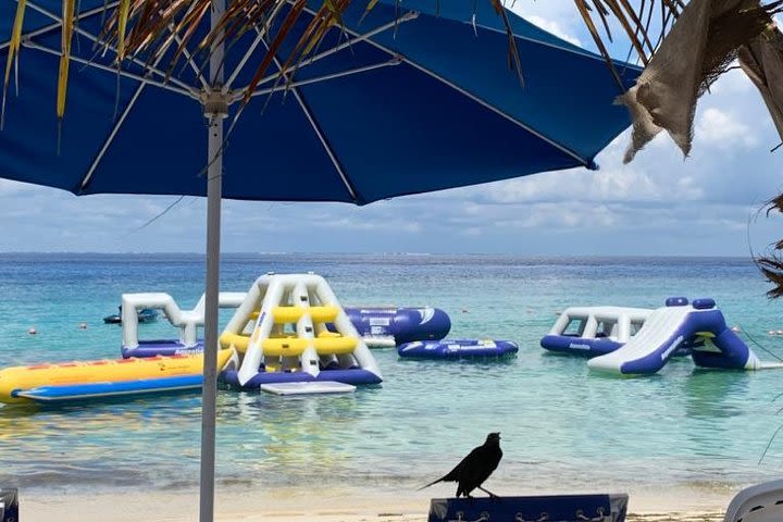 Sunken Ship By Catamaran Snorkeling Adventure Whit Lunch image