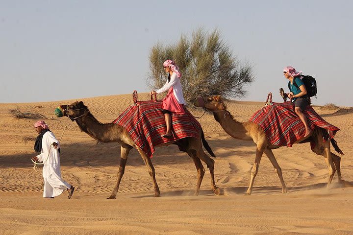 Desert Safari Tour, 6 Hour Fun, Family & Friends, Camel Ride & Dinner Included. image