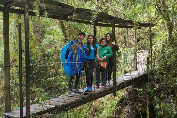 Private Tour to the Nature Waterfall of La Chorrera from Bogotá image
