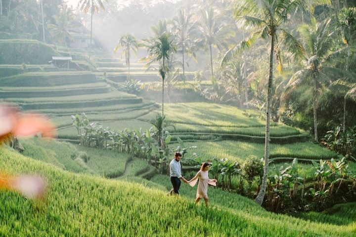 Bali Private Car charter with English speaking Driver  image