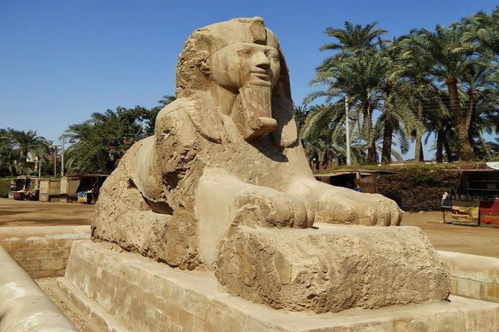 Private Tour: Giza pyramids and Saqqara and Memphis & Camel Ride image