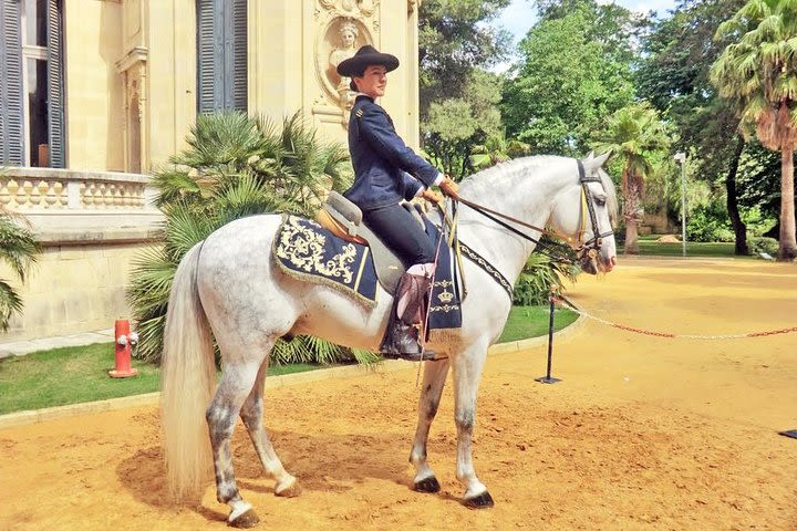 From Cadiz: Jerez Private Day Trip with Horse Show & Sherry Winery image