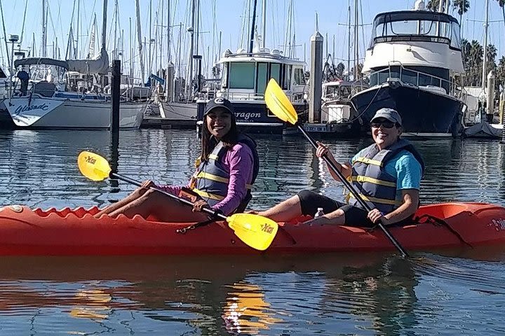 Santa Barbara Harbor Kayak Tour image