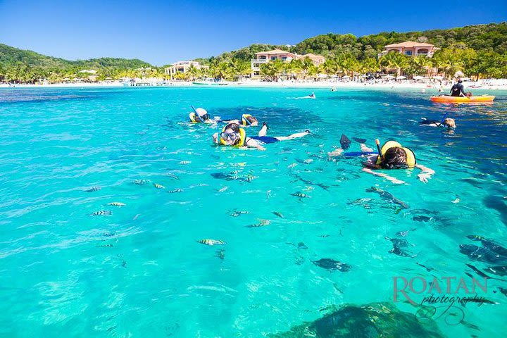 Roatan Excursion: Beach Break/ Plus Sloth Park and Snorkel Adventure  image