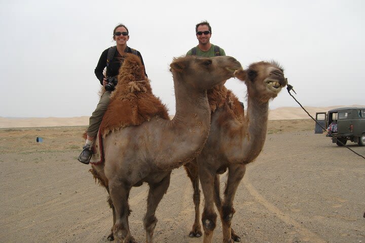 From Agadir Port 2 Hours Camel Ride image