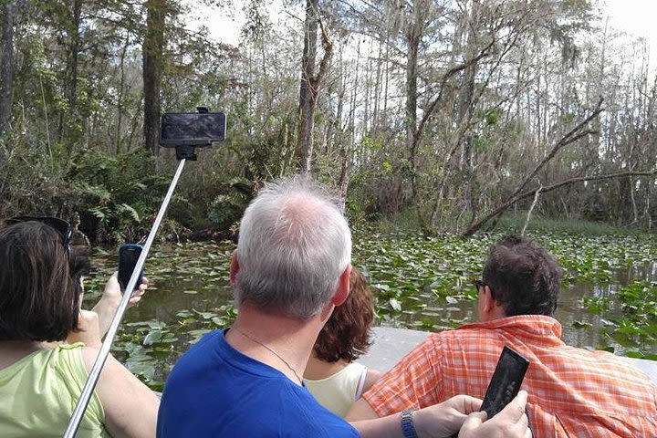 Real Safari in the Everglades w / pick up airboat, swamp buggy, storytelling image