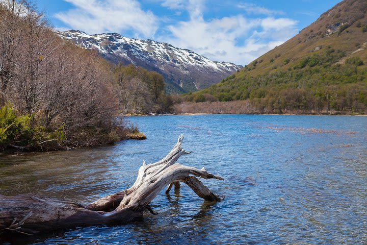 Tronador Hill Day Trip from Bariloche image