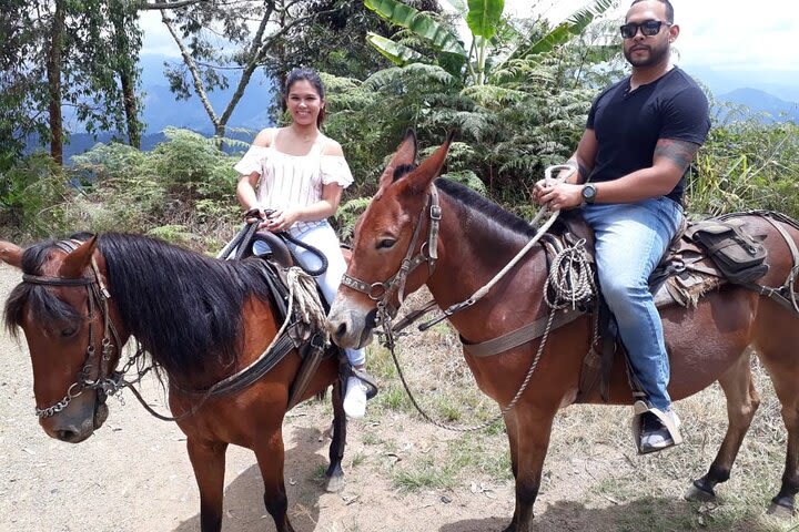 Best Horseback Adventure from Medellin image