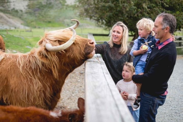 Queenstown: TSS Earnslaw Cruise and Walter Peak Farm Tour image