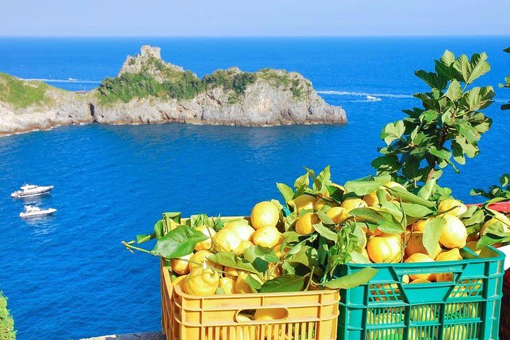 Amalfi Lemon Tour Experience image