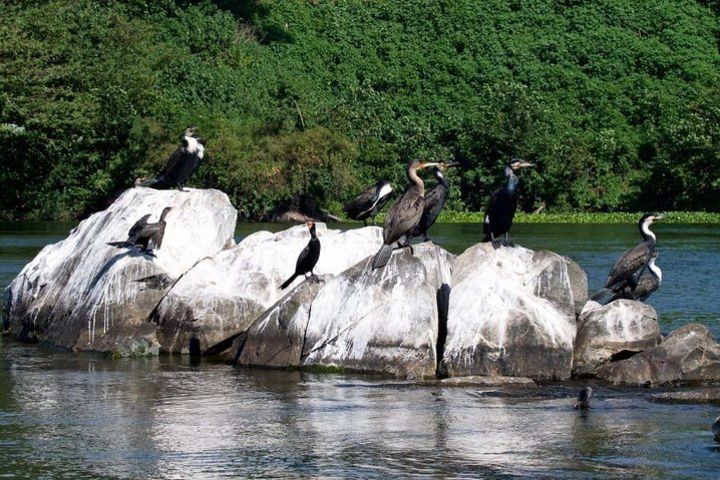 1 Day Source of the Nile Tour in Jinja image