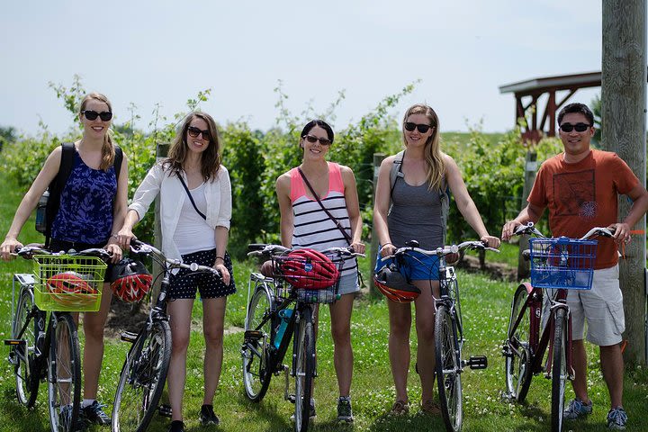 Wine Trail Ride Cycling Tour image