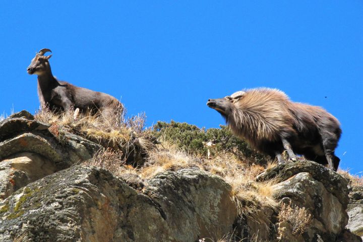Everest 3 Passes Trek in Nepal Himalayas image
