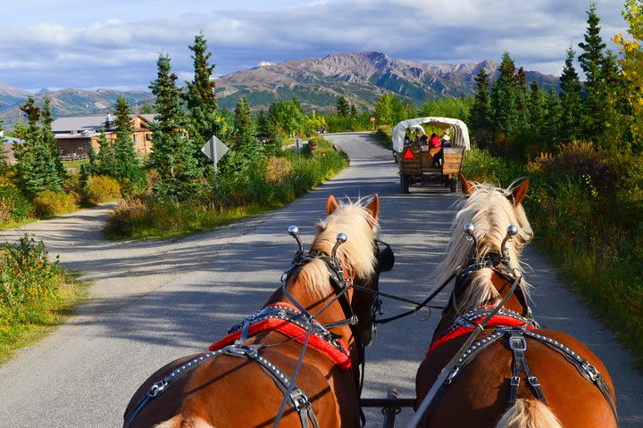 Horse-Drawn Covered Wagon Ride with Backcountry Dining image