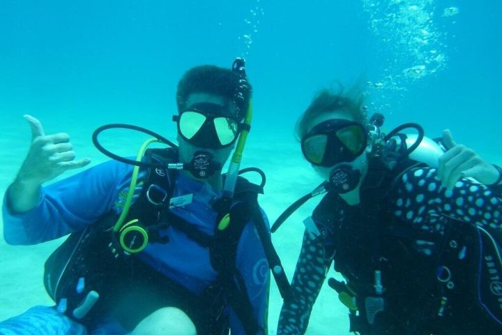 Half-Day Scuba Diving in Florida Keys image