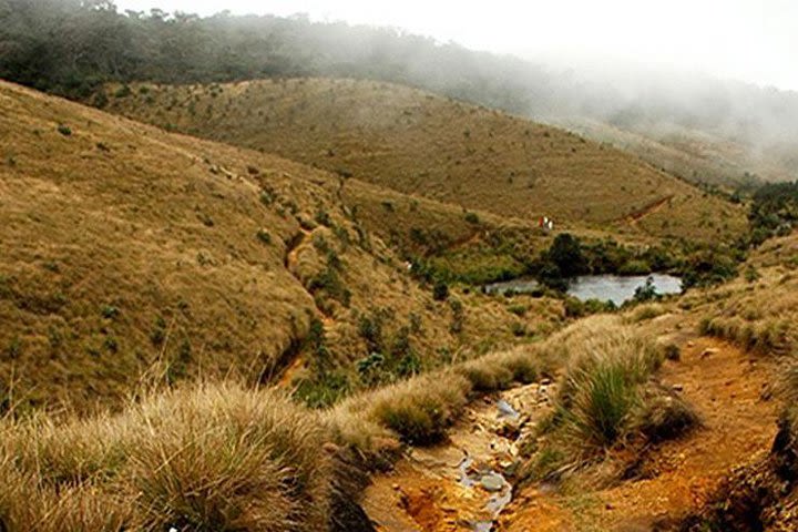 Horton Plains-World's End Tour From Nuwaraeliya image