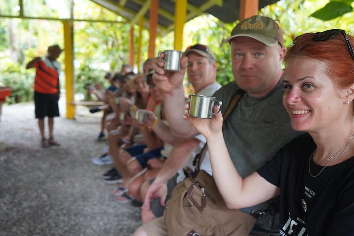 Cocoa and Coffee Plantation  image