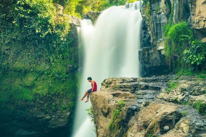 Private Ubud Tour and Tegenungan waterfall image