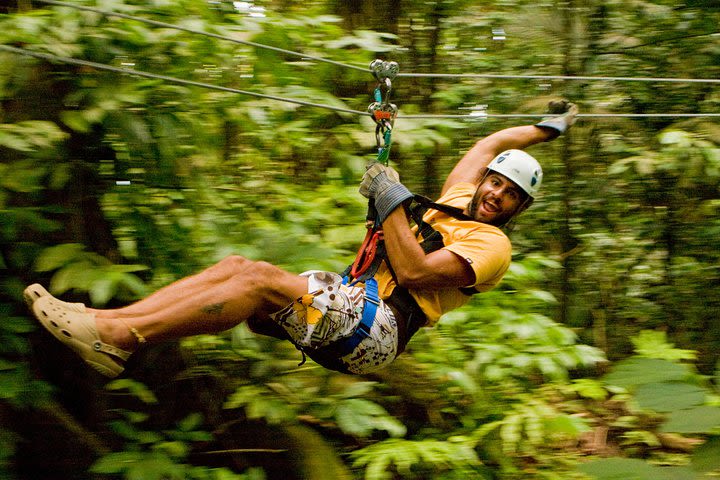 Rainforest Canopy Adventure from Vieux Fort or North Island, St Lucia image