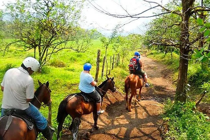 Horseback Riding to La Fortuna Waterfall image