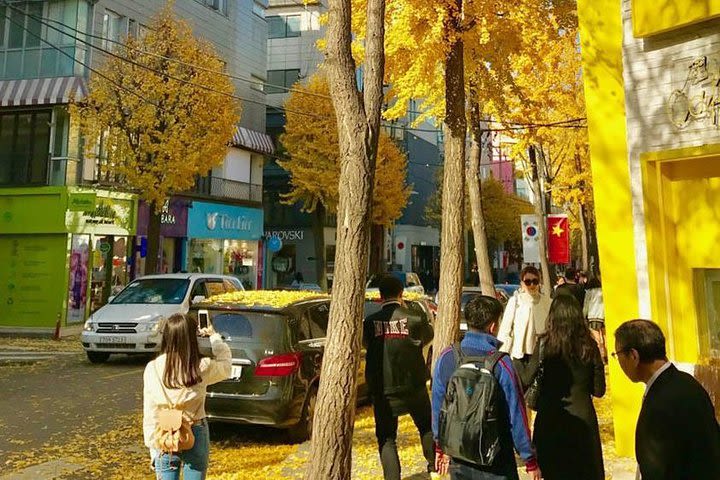 [Private] A Tour Guide for K-Pop and K-Drama Hallyu Tour in Gangnam image