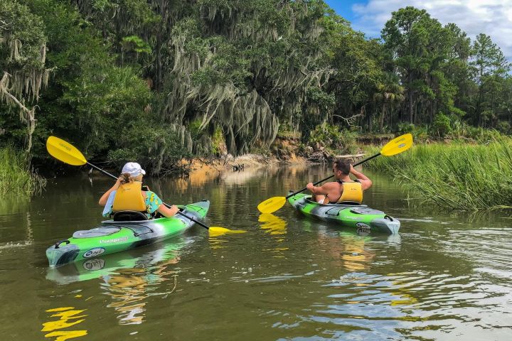 Hilton Head Outback Boat and Kayak Adventure image