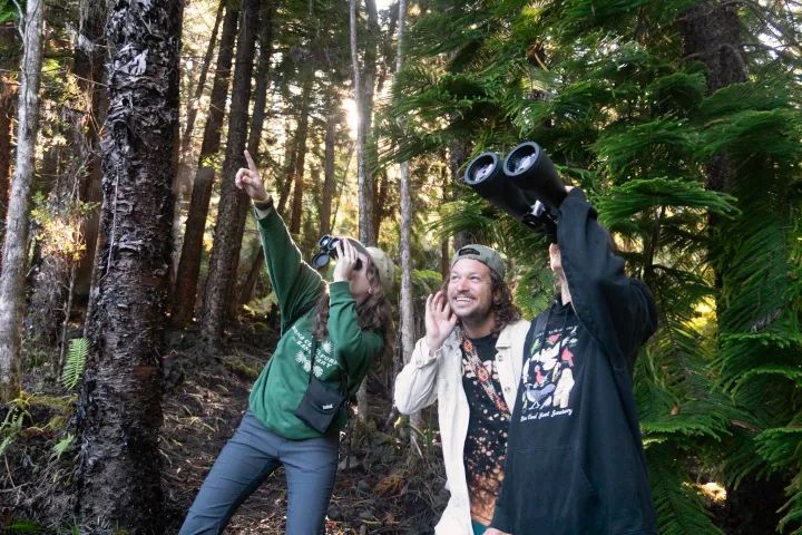 Early Bird Guided Birding Tour - Kailua-Kona, HI image