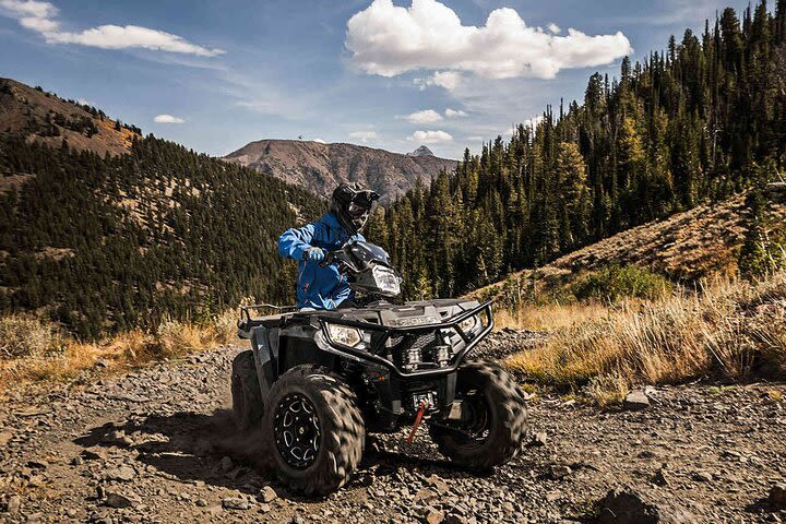 Quad Bike Safari in the Wilderness (ATV) image