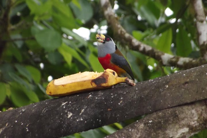 Mindo Cloud Forest (PRIVATE Day Trip from Quito) image