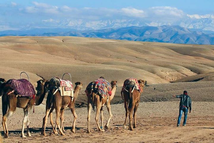 Spa treatment and Magical Lunch camel Ride in Agafay Desert image