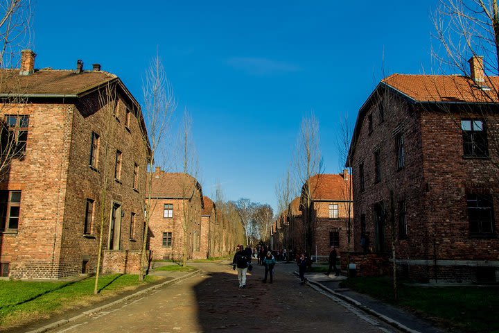 1 Day Auschwitz Birkenau Museum Guided Tour from Krakow image