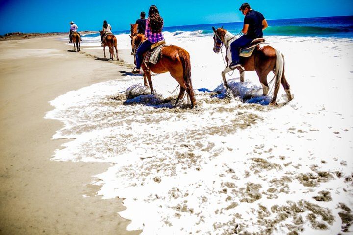 Horseback Riding Migrino Beautiful Beaches!  image