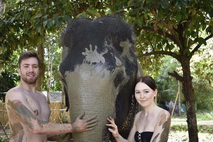 Elephant Jungle Sanctuary Koh Samui: Afternoon Half Day Program image