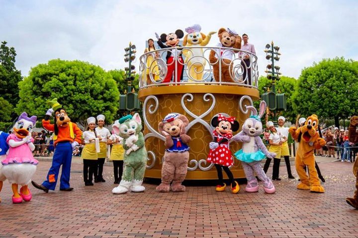 Hong Kong Private Transfer: Hotel to Hong Kong Disneyland image